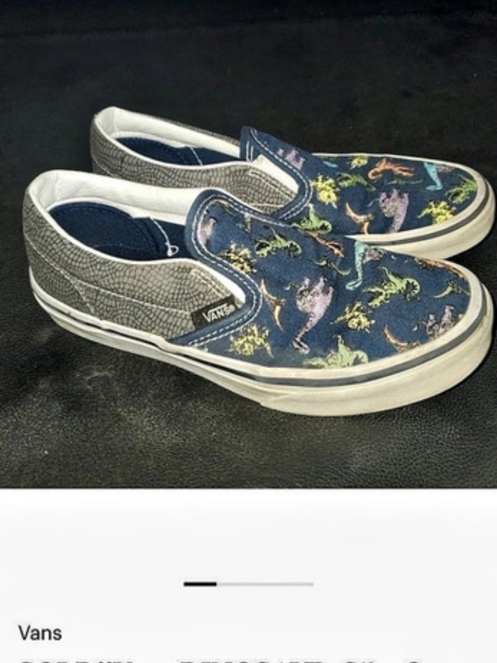 Vans Dinosaur Slip-On Sneakers in Blue & White